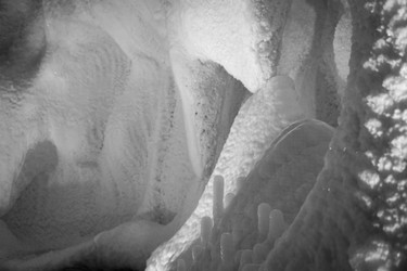 Similar image 21028301