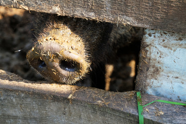 Similar image 21062543