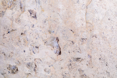 Similar image 21028335