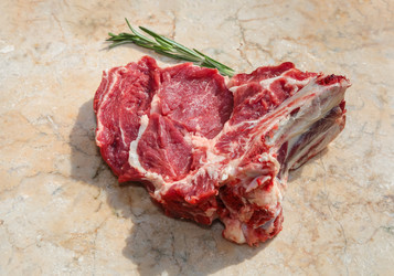 Similar image 21028349