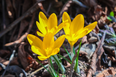 Similar image 21028403