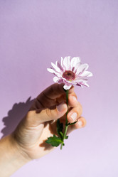 Similar image 21021222