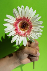 Similar image 21021223