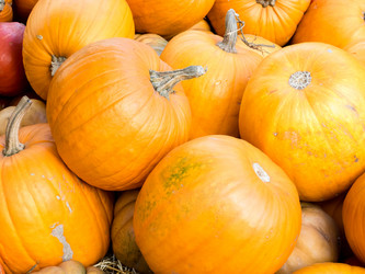 Similar image 21021230