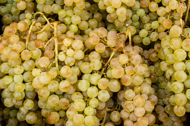 Similar image 21021231