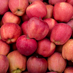 Similar image 21021232