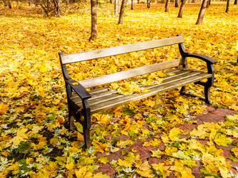 Similar image 21021233