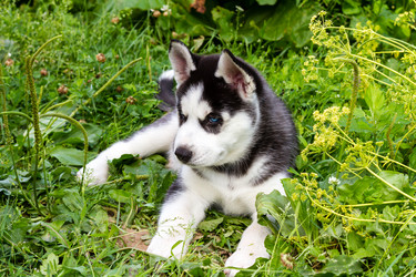 Similar image 21021238