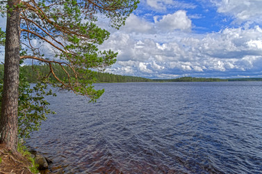 Similar image 21021240