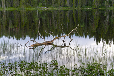 Similar image 21021241