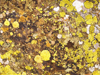 Similar image 21021726