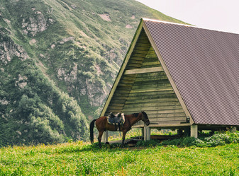 Similar image 21021728