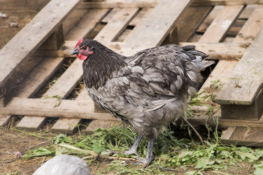 Similar image 21031562