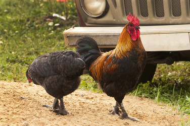 Similar image 21031563