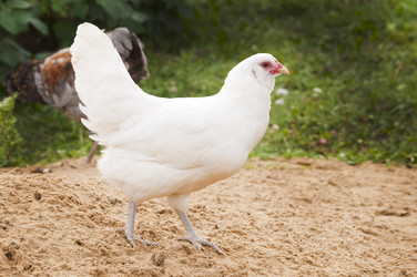 Similar image 21021100