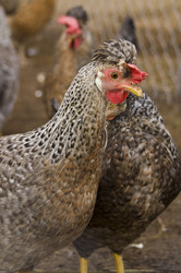 Similar image 21031566