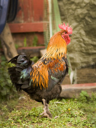 Similar image 21031567