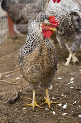 Similar image 21031569