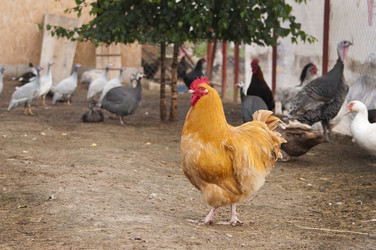 Similar image 21031570