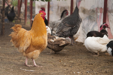 Similar image 21031574