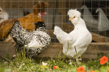 Similar image 21031576