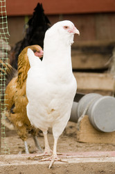 Similar image 21031577