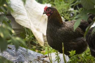 Similar image 21031578