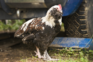 Similar image 21031579