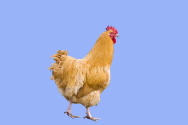 Similar image 21021104