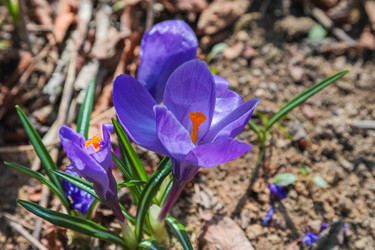 Similar image 21028108