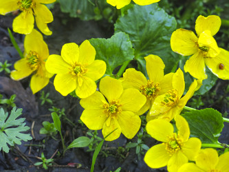 Similar image 21021111