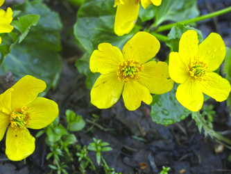 Similar image 21021112