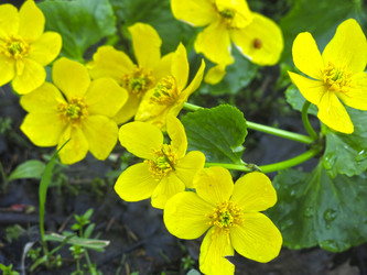 Similar image 21021113