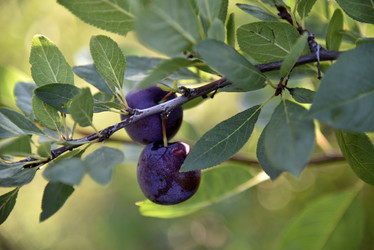 Similar image 21030025