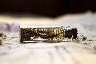 Similar image 21021296