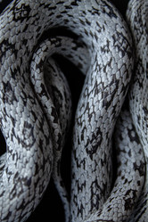 Similar image 21021297