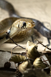 Similar image 21021298