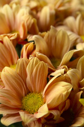 Similar image 21021299