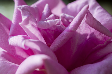 Similar image 21021300