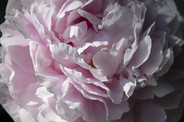 Similar image 21021302