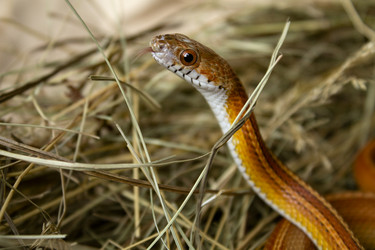 Similar image 21021304