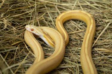 Similar image 21021306