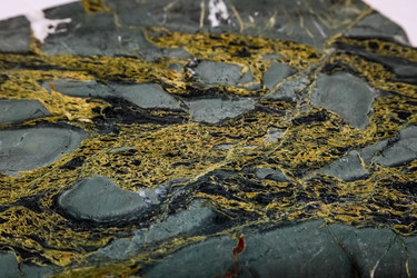 Similar image 21028379