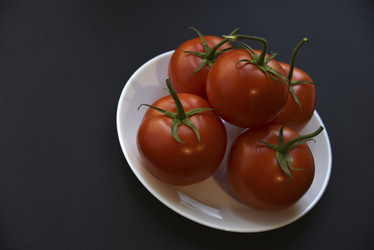 Similar image 21030033