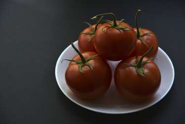 Similar image 21030034