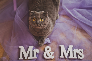 Similar image 21040966