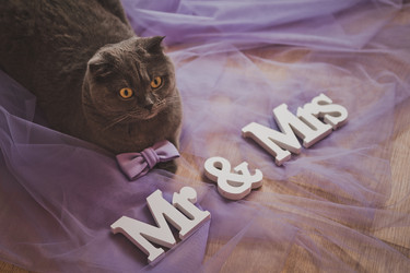 Similar image 21042323