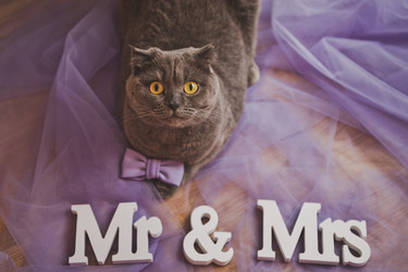 Similar image 21042324