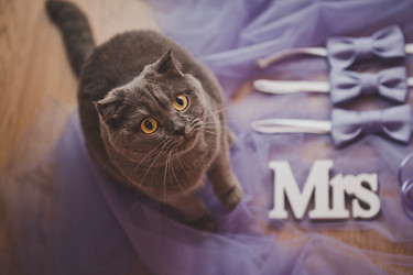 Similar image 21042327