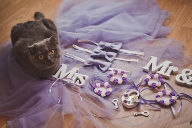 Similar image 21042329